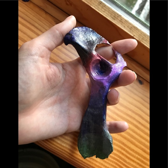 Rainbow pelvic bone - Picture 4 of 4